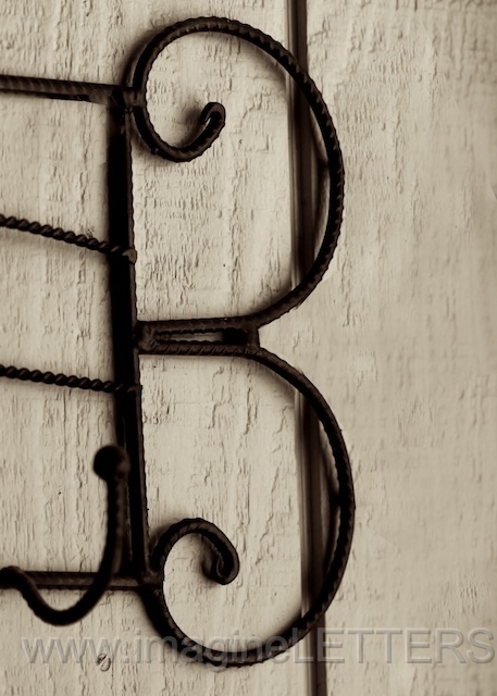 Wall_Art_Alphabet_Photography_Art_ 245.jpg
